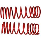 Set de 2 ressorts courts -5cm 1302/03