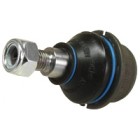 Ball Joint Lower Trekker