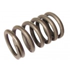 Valve Spring Set of 8 25-30hp