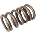 Valve spring 8/60-