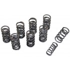 Dual Hi-Rev Valve Springs - set of 8