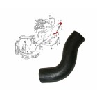 Thermostat Coolant Hose